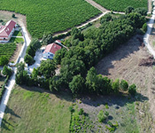 BG_011.jpg