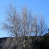 2017-12-17_0359n